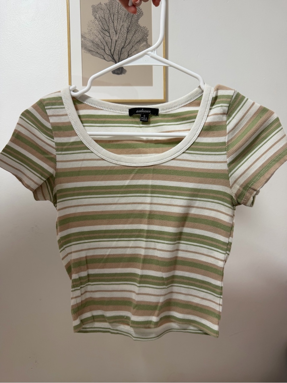 Ambiance Green, Cream & Tan Striped Ribbed Scoop Crop Top